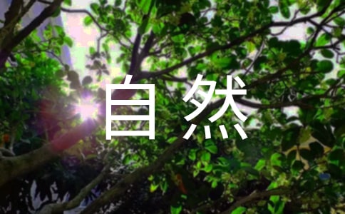 大自然中的啟示作文(通用44篇)