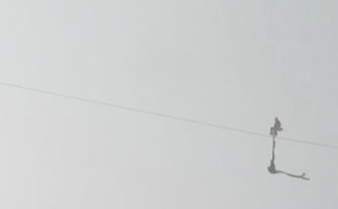 ������䓽z