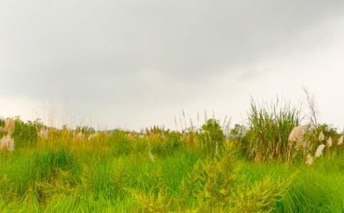 �x�����M���C�Ĵ��졷�и�14ƪ