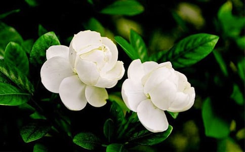 ����������[�R��8ƪ]