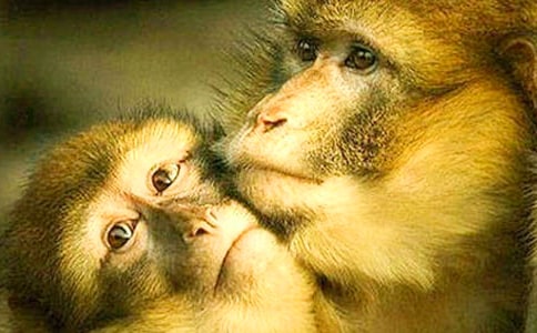 ����������ģ���������ͨ��5ƪ��