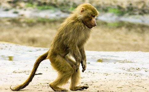 ����������850��