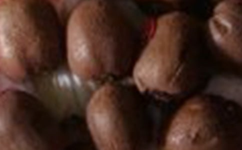 [���T]�J��������