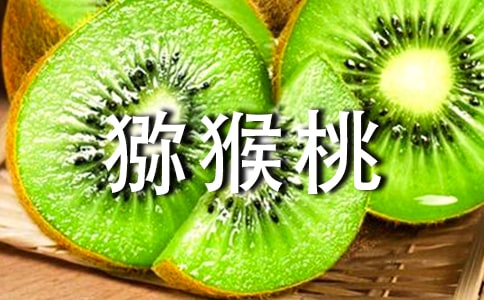 摘獼猴桃作文(精選18篇)