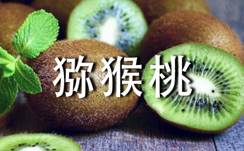 獼猴桃作文【匯編12篇】