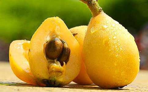 ���˵�����[����]