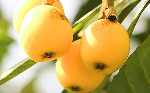 ���˵����Ĵ�ȫ��15ƪ��