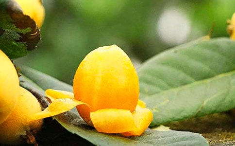 ���˵����ġ����x15ƪ��