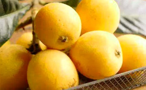 ���˵����ġ�����15ƪ��