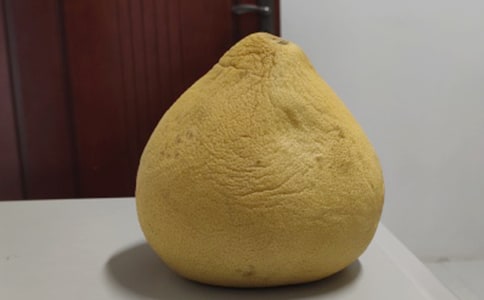 柚子中的親情作文