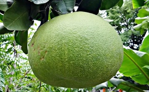 ���Ӳ�Ĺ�Ч�c����