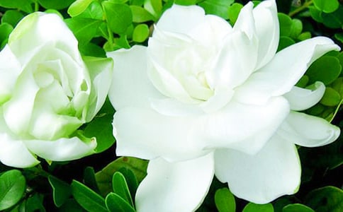 �d�ӻ��_����[ͨ��15ƪ]