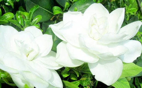 �������d�ӻ�������