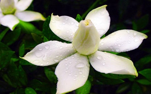 ��Ĩ�������d�ӻ����Ŀ������