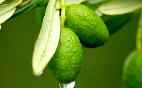 ���|�̳Ǿܽ^�֠����ع���1 ̖����˫@���֠����ϙ�֦������ô����