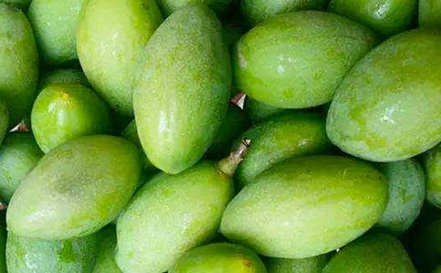 橄欖綠作文必備【2篇】