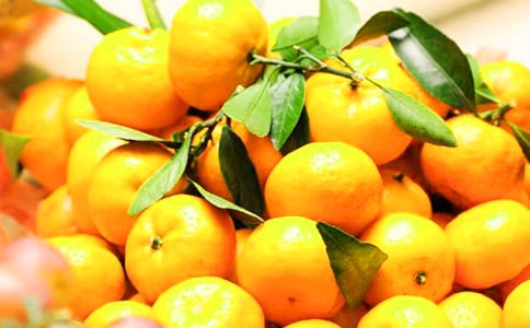 摘橘子作文(集合)