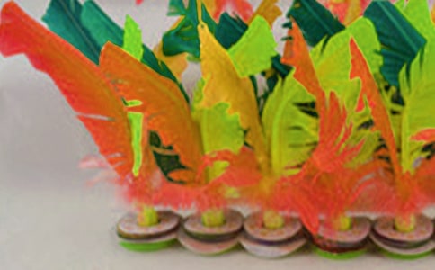 ��W(xu��)������\��ِ���Y(ji��)