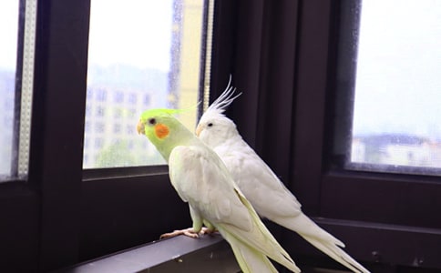 ��Ȥ���W�^����