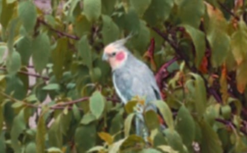 �ɐ۵��W�^���ģ����x38ƪ��