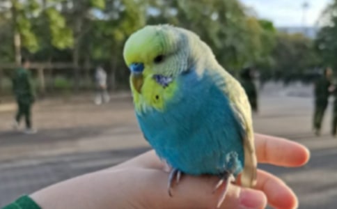 [���T]�ɐ۵�С�W�^����