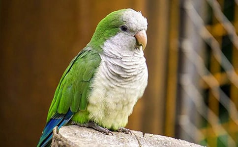 [�]]��Ƥ�W�^����15ƪ