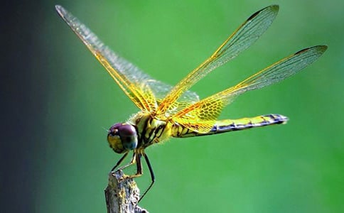 (��(y��u)��)���ѵ�����300��9ƪ