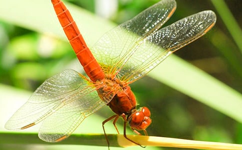 ׽�������ģ��\��15ƪ��