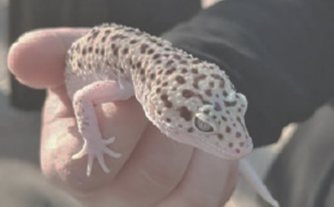 �Ҽҵ���������450�֣�ͨ��20ƪ��