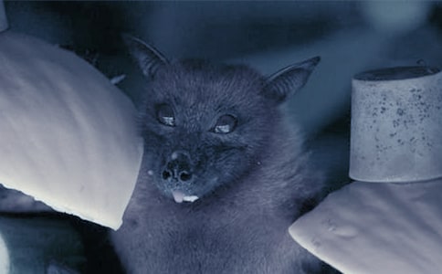 ������������