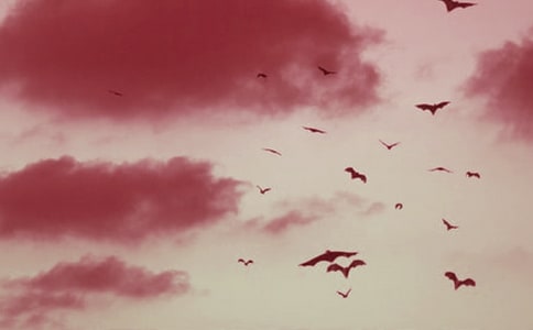 ��׽��������