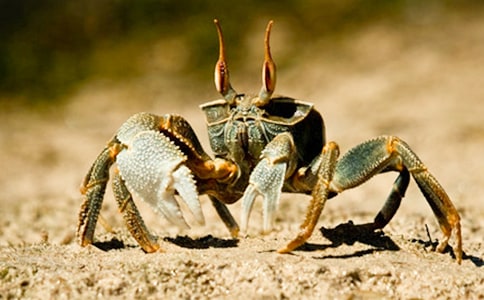 ����(y��u)��ץ�з����15ƪ