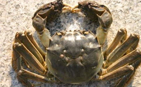 ��з����