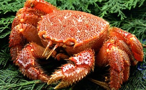 ��з���Ľ�(j��ng)�䣨15ƪ��