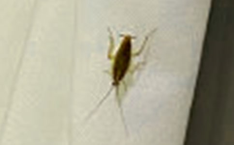 [��]���������20ƪ