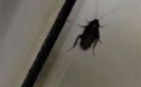 �o������