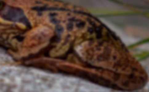 �����������A�����4��������̥�ӑB�^��