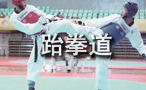 我愛跆拳道作文(精選20篇)