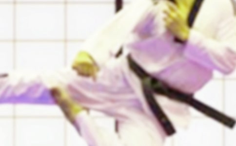 (精品)練跆拳道作文15篇