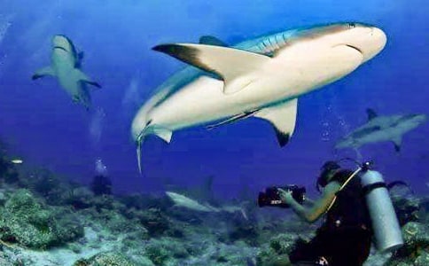 ���o���~������5ƪ