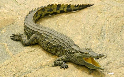 ���{�~����50��