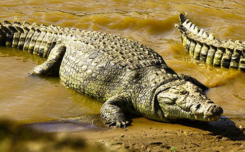 �{�~�^֮������