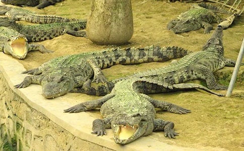 �{�~�u���ճ�600������