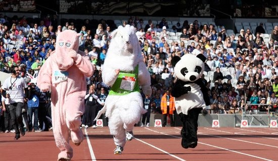 �\�ӕ��^���[���A]